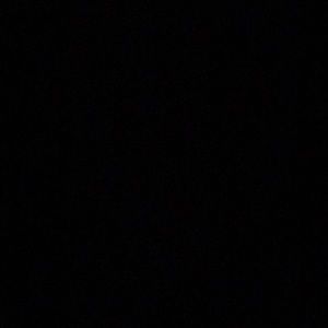 Meet your Posher, George